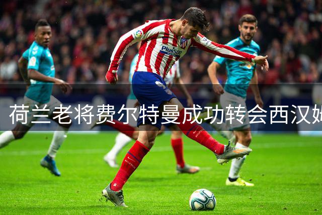 荷兰老将费尔特曼成功转会西汉姆联 新赛季将重返英伦赛场
